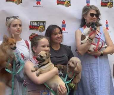 Pets and the City | Broadway stars help dogs and cats land forever homes 35 Broadway stars helped to get local cats and dogs adopted.